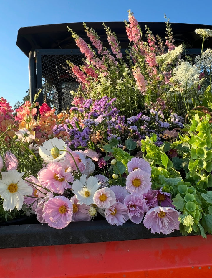 Flourish & Flow; Wellness on the Flower Farm