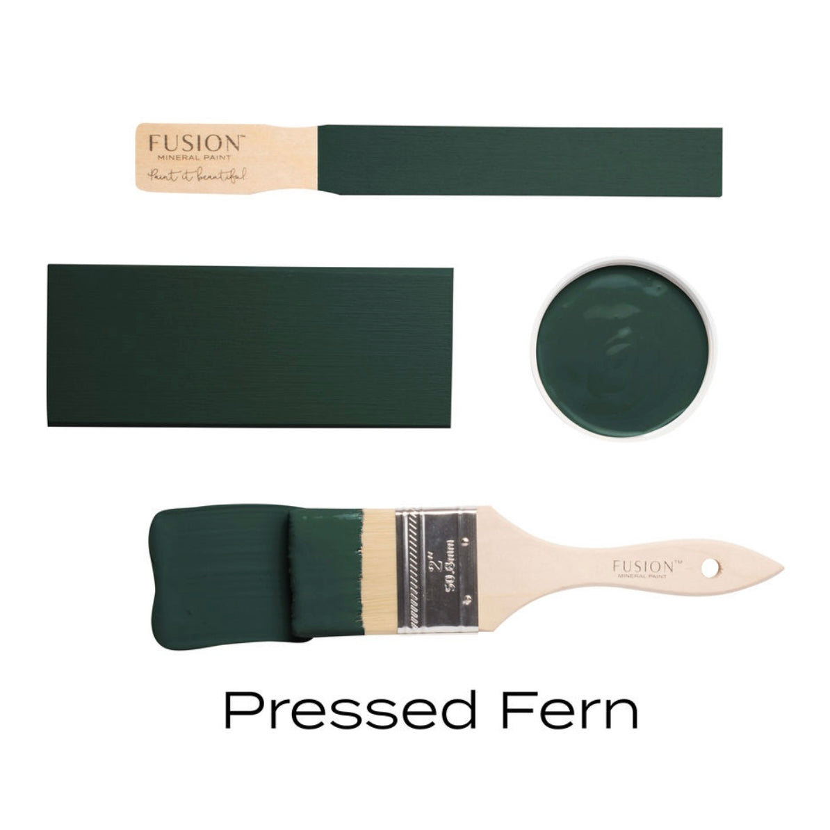 Pressed Fern