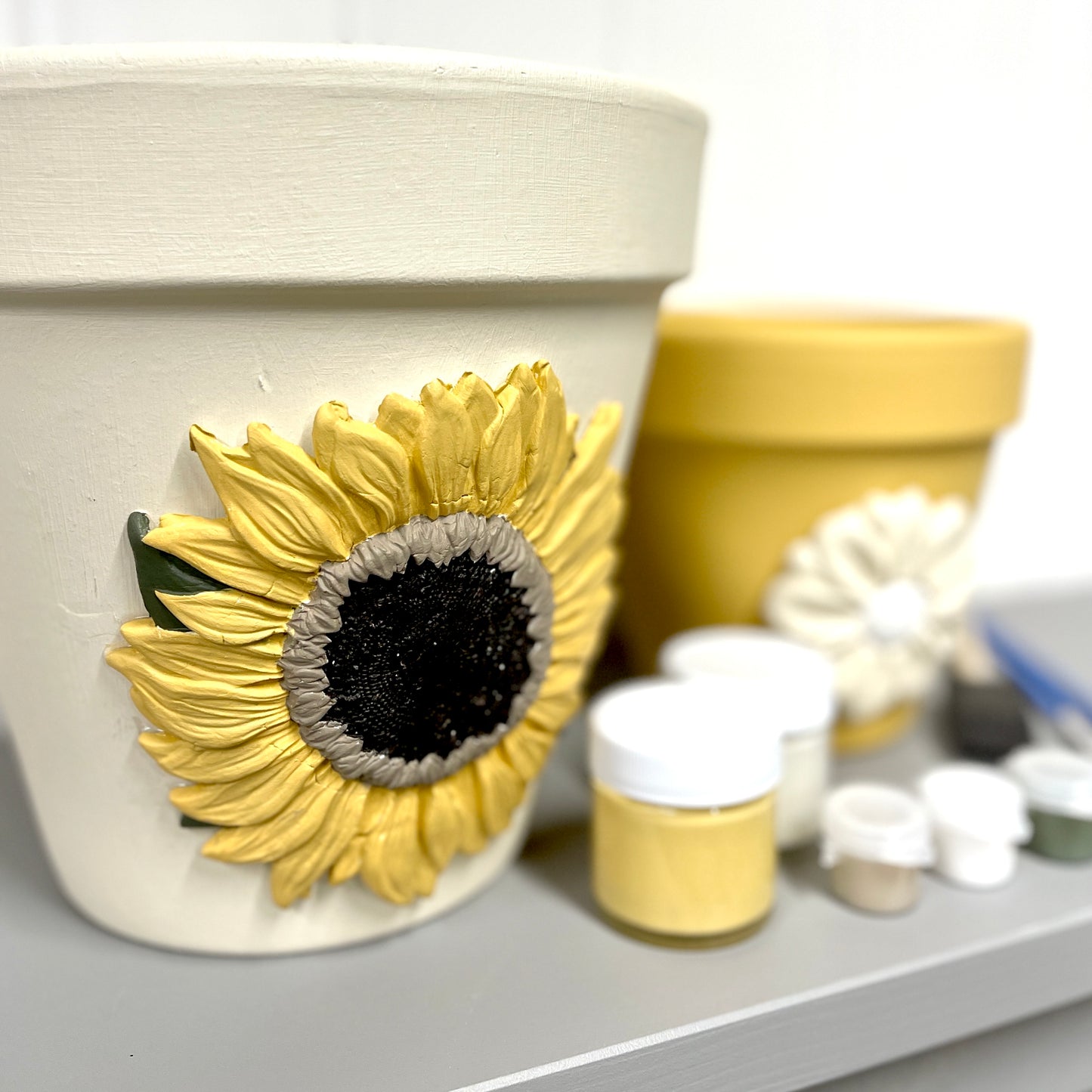 Painted Pots DIY Kit