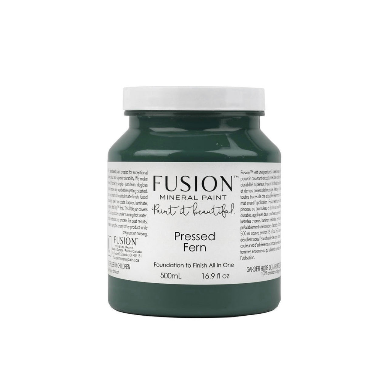 Pressed Fern