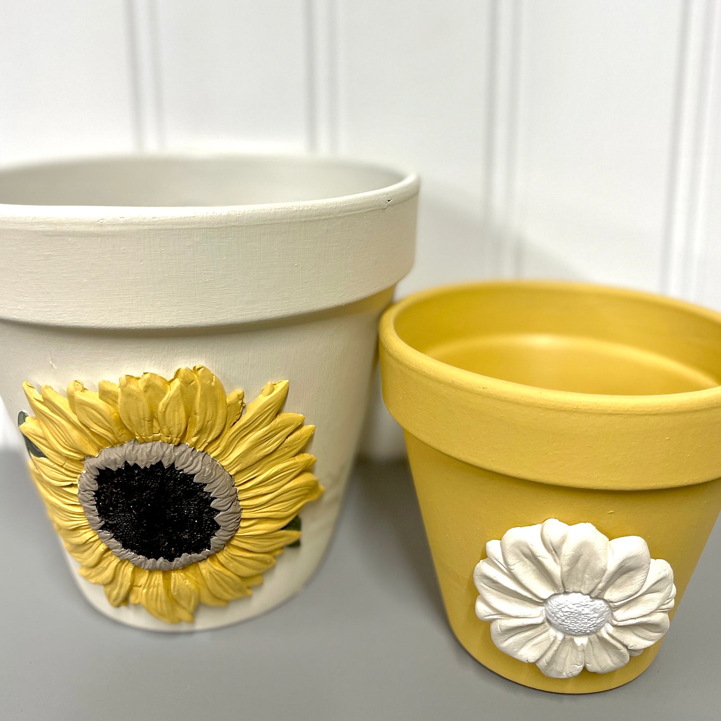 Painted Pots DIY Kit