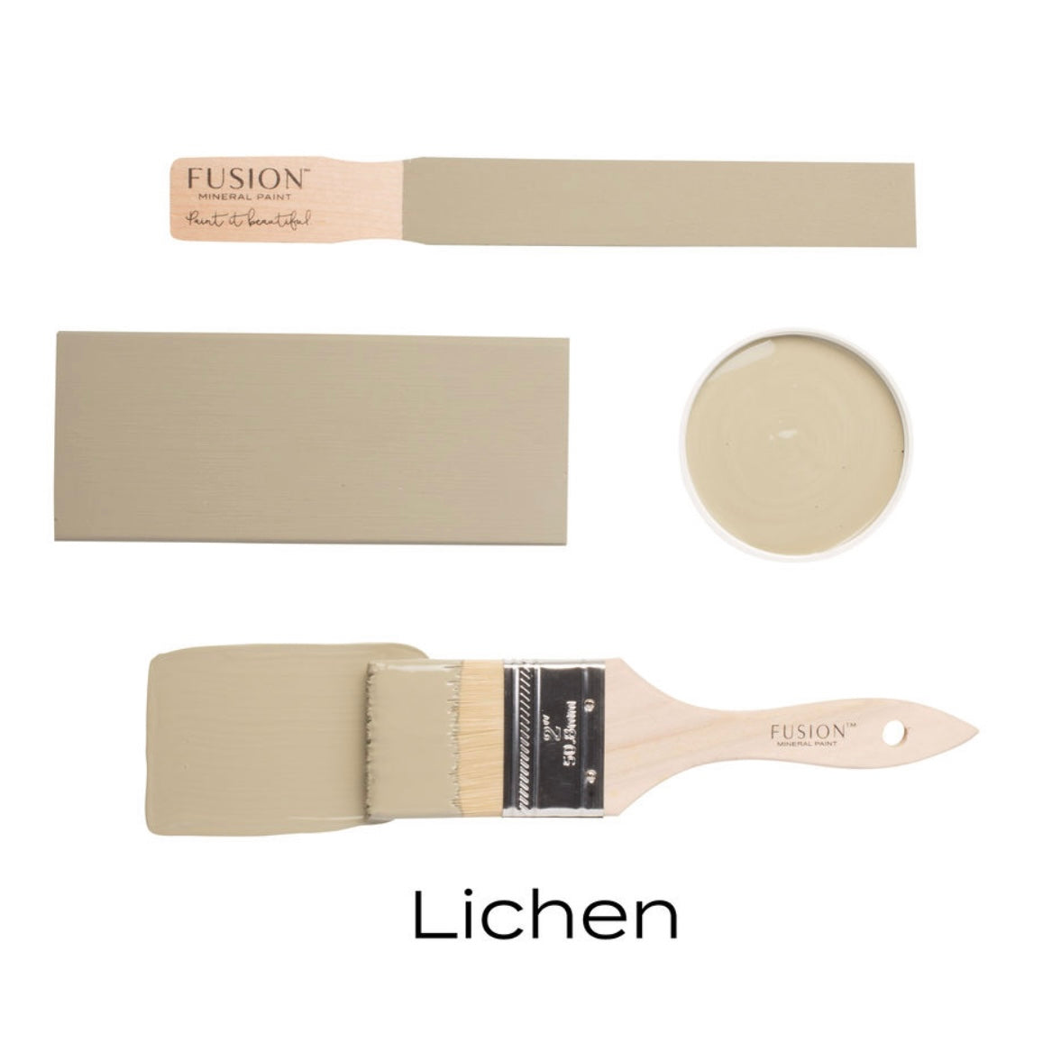 Lichen