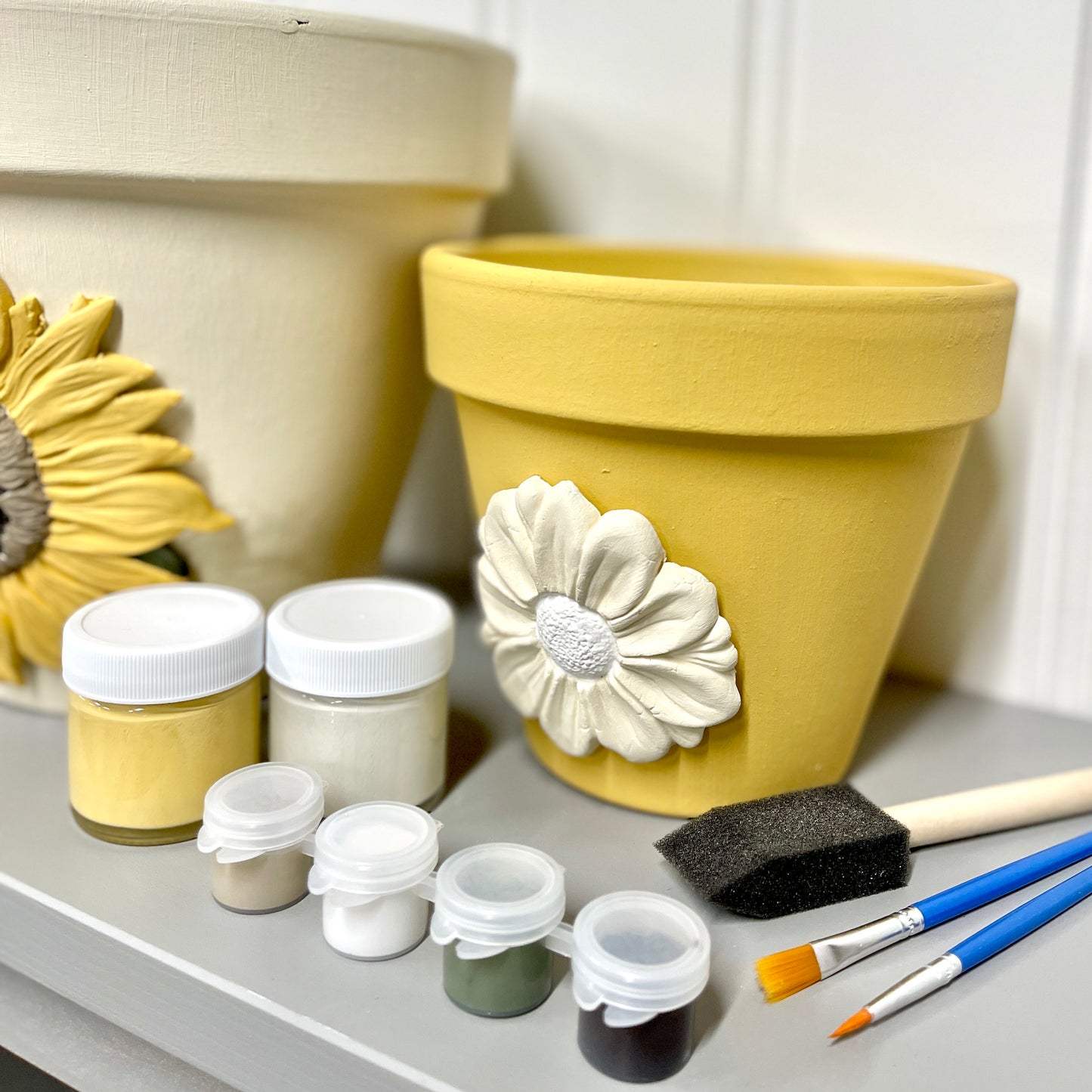 Painted Pots DIY Kit