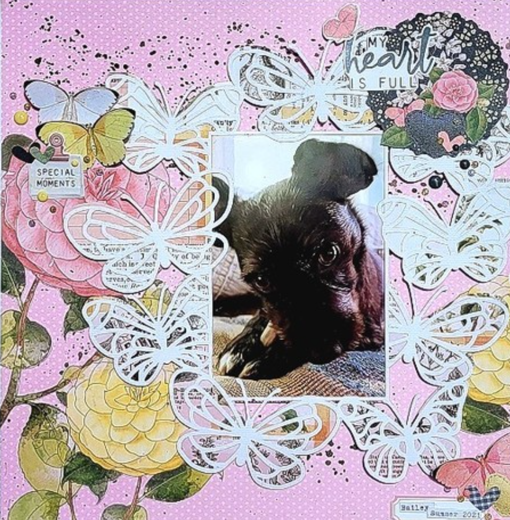 Butterfly Frame Cut File